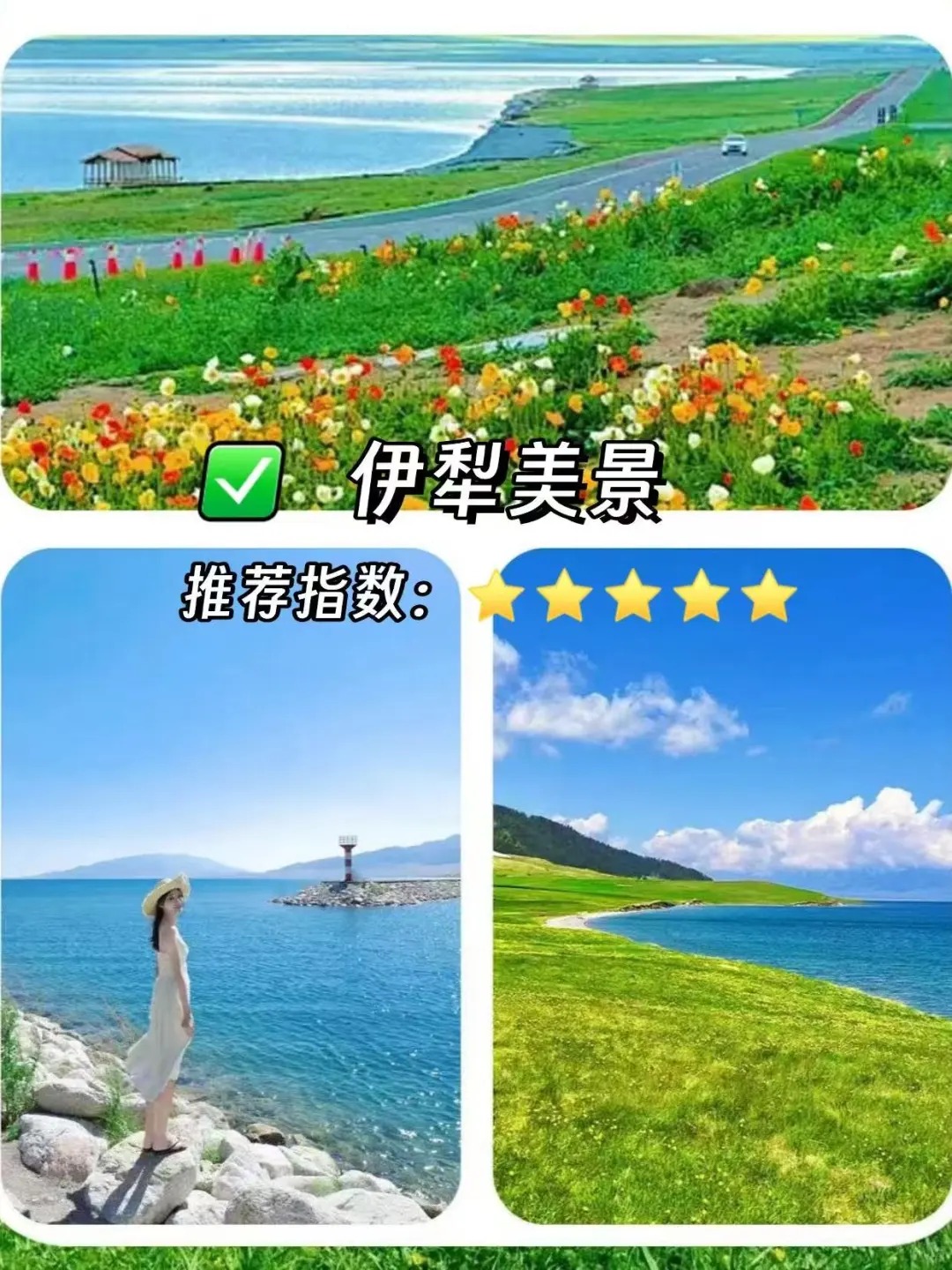 伊犁北疆游